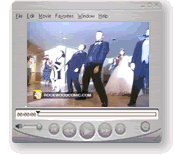 Watch the Flash video demo